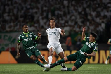 Sao Paulo (SP), 15 Eylül 2023 - Brasileiro - Palmeiras maçı Sao Paulo 'nun batısındaki No Allianz Parque' da düzenlendi. 