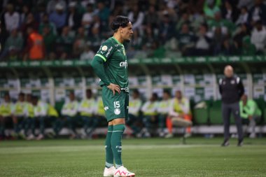 Sao Paulo (SP), 15 Eylül 2023 - Brasileiro - Palmeiras maçı Sao Paulo 'nun batısındaki No Allianz Parque' da düzenlendi. 