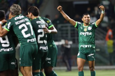 Sao Paulo (SP), 15 Eylül 2023 - Brasileiro - Palmeiras maçı Sao Paulo 'nun batısındaki No Allianz Parque' da düzenlendi. 
