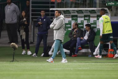 Sao Paulo (SP), 15 Eylül 2023 - Brasileiro - Palmeiras maçı Sao Paulo 'nun batısındaki No Allianz Parque' da düzenlendi. 