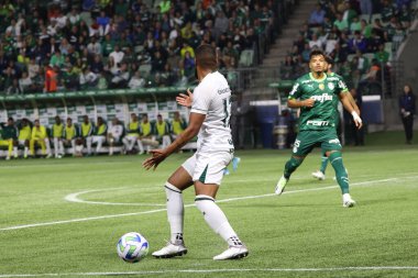 Sao Paulo (SP), 15 Eylül 2023 - Brasileiro - Palmeiras maçı Sao Paulo 'nun batısındaki No Allianz Parque' da düzenlendi. 