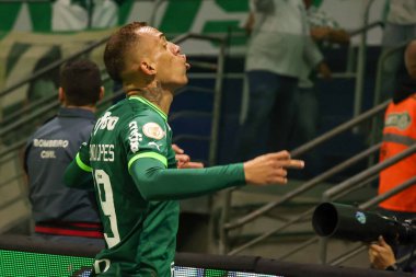 Sao Paulo (SP), 15 Eylül 2023 - Brasileiro - Palmeiras maçı Sao Paulo 'nun batısındaki No Allianz Parque' da düzenlendi. 