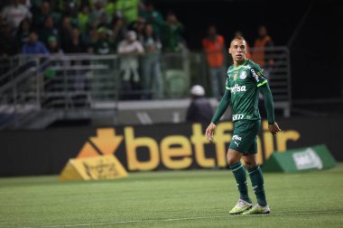 Sao Paulo (SP), 15 Eylül 2023 - Brasileiro - Palmeiras maçı Sao Paulo 'nun batısındaki No Allianz Parque' da düzenlendi. 