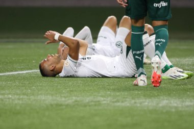 Sao Paulo (SP), 15 Eylül 2023 - Brasileiro - Palmeiras maçı Sao Paulo 'nun batısındaki No Allianz Parque' da düzenlendi. 