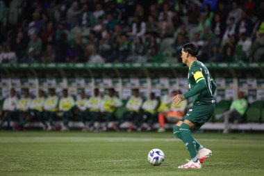 Sao Paulo (SP), 15 Eylül 2023 - Brasileiro - Palmeiras maçı Sao Paulo 'nun batısındaki No Allianz Parque' da düzenlendi. 