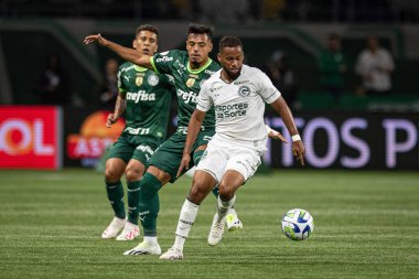 Sao Paulo (SP), 15 Eylül 2023 - Brasileiro - Palmeiras maçı Sao Paulo 'nun batısındaki No Allianz Parque' da düzenlendi. 