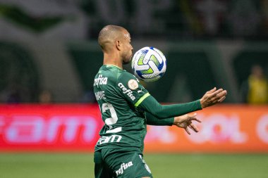 Sao Paulo (SP), 15 Eylül 2023 - Brasileiro - Palmeiras maçı Sao Paulo 'nun batısındaki No Allianz Parque' da düzenlendi. 
