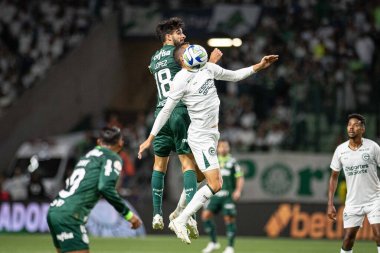 Sao Paulo (SP), 15 Eylül 2023 - Brasileiro - Palmeiras maçı Sao Paulo 'nun batısındaki No Allianz Parque' da düzenlendi. 