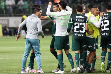 Sao Paulo (SP), 15 Eylül 2023 - Brasileiro - Palmeiras maçı Sao Paulo 'nun batısındaki No Allianz Parque' da düzenlendi. 