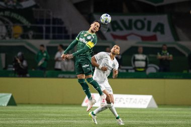 Sao Paulo (SP), 15 Eylül 2023 - Brasileiro - Palmeiras maçı Sao Paulo 'nun batısındaki No Allianz Parque' da düzenlendi. 