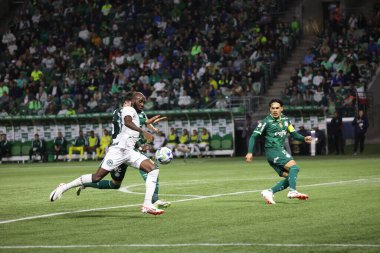 Sao Paulo (SP), 15 Eylül 2023 - Brasileiro - Palmeiras maçı Sao Paulo 'nun batısındaki No Allianz Parque' da düzenlendi. 