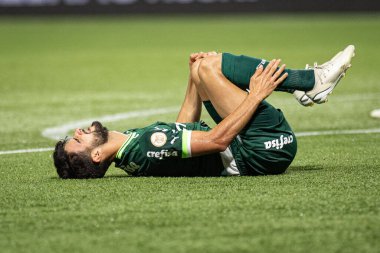 Sao Paulo (SP), 15 Eylül 2023 - Brasileiro - Palmeiras maçı Sao Paulo 'nun batısındaki No Allianz Parque' da düzenlendi. 