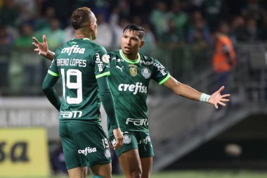 Sao Paulo (SP), 15 Eylül 2023 - Brasileiro - Palmeiras maçı Sao Paulo 'nun batısındaki No Allianz Parque' da düzenlendi. 