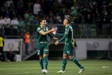 Sao Paulo (SP), 15 Eylül 2023 - Brasileiro - Palmeiras maçı Sao Paulo 'nun batısındaki No Allianz Parque' da düzenlendi. 