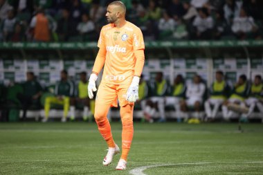 Sao Paulo (SP), 15 Eylül 2023 - Brasileiro - Palmeiras maçı Sao Paulo 'nun batısındaki No Allianz Parque' da düzenlendi. 