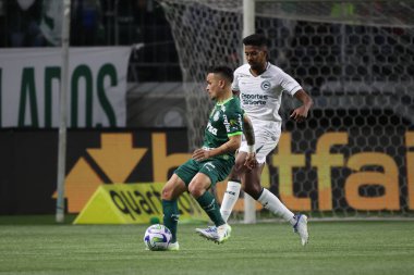 Sao Paulo (SP), 15 Eylül 2023 - Brasileiro - Palmeiras maçı Sao Paulo 'nun batısındaki No Allianz Parque' da düzenlendi. 