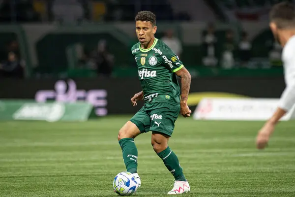 stock image Sao Paulo (SP), September 15, 2023 - Brasileiro - Palmeiras match held at No Allianz Parque, in the west of Sao Paulo. 