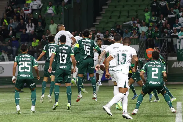 Sao Paulo September 2023 Brasileiro Palmeiras Spiel Allianz Parque Westen — Stockfoto