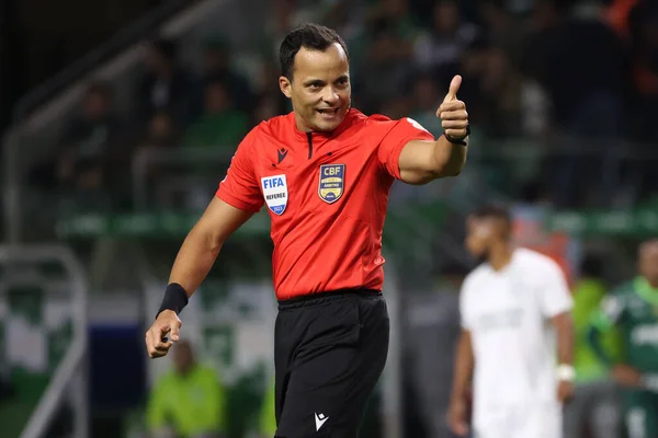 stock image Sao Paulo (SP), September 15, 2023 - Brasileiro - Palmeiras match held at No Allianz Parque, in the west of Sao Paulo. 