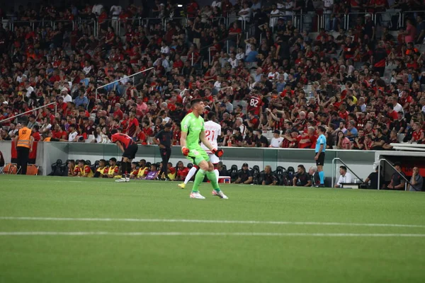Curitiba Brazil 2023 Celebration International Equalizing Goal Scored Carlos Pena — стоковое фото