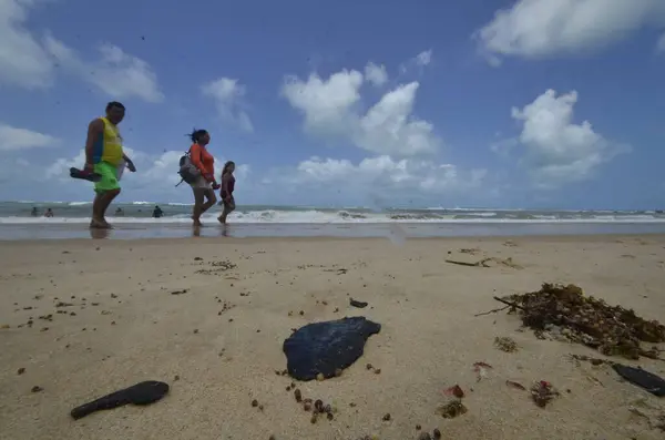 ブラジルNatal ブラジル 2023 石油汚れは Rnの南海岸のニシアフローレスタ カムルプイムビーチで見つかりました コスタ ブランカ カチェサン プロジェクトの研究者らは — ストック写真