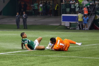 Sao Paulo (SP), 10 Ekim 2023 - Sao Paulo 'nun batısındaki Allianz Parque' da düzenlenen Football 2023 'ün LIBERTADORES / PALMEIRAS. 