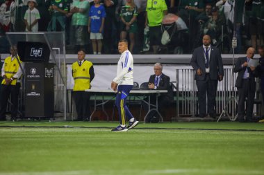 Sao Paulo (SP), 10 Ekim 2023 - Sao Paulo 'nun batısındaki Allianz Parque' da düzenlenen Football 2023 'ün LIBERTADORES / PALMEIRAS. 