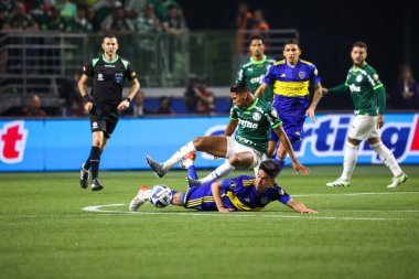 Sao Paulo (SP), 10 Ekim 2023 - Sao Paulo 'nun batısındaki Allianz Parque' da düzenlenen Football 2023 'ün LIBERTADORES / PALMEIRAS. 