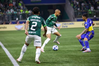Sao Paulo (SP), 10 Ekim 2023 - Sao Paulo 'nun batısındaki Allianz Parque' da düzenlenen Football 2023 'ün LIBERTADORES / PALMEIRAS. 