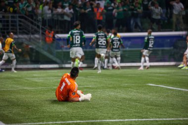 Sao Paulo (SP), 10 Ekim 2023 - CONMEBOL Libertadores 2023, Sao Paulo 'nun batısındaki Allianz Parque' da düzenlendi..