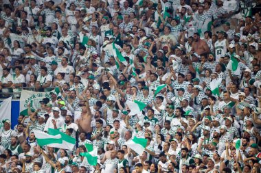 Sao Paulo (SP), 10 Ekim 2023 - CONMEBOL Libertadores 2023, Sao Paulo 'nun batısındaki Allianz Parque' da düzenlendi..