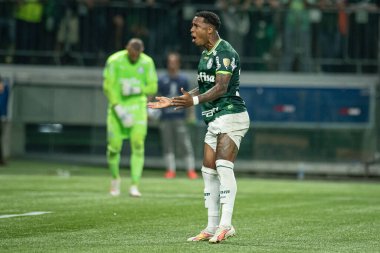 Sao Paulo (SP), 10 Ekim 2023 - Sao Paulo 'nun batısındaki Allianz Parque' da düzenlenen Football 2023 'ün LIBERTADORES / PALMEIRAS. 