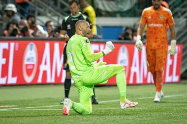 Sao Paulo (SP), 10 / 05 / 2023 - Sao Paulo 'nun batısındaki Allianz Parque' da düzenlenen LIBERTADORES / PALMEIRAS, bu Perşembe, 10 Ekim 2023. (Fotoğraf: Ronaldo Barreto / Thenews2 / Depozito Fotoğrafları) 