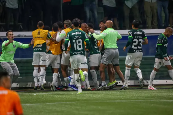 Sao Paulo Octubre 2023 Conmebol Football Libertadores 2023 Celebrada Allianz —  Fotos de Stock