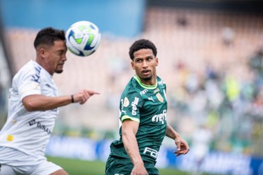 Barueri (SP), 10 / 08 / 2023 - Barueri-SP 'de BRAZILEIRO-PALMEIRAS maçı, bu Pazar, 8 Ekim 2023. 