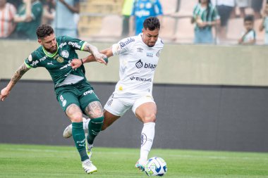 Barueri (SP), 10 / 08 / 2023 - Barueri-SP 'de BRAZILEIRO-PALMEIRAS maçı, bu Pazar, 8 Ekim 2023. 