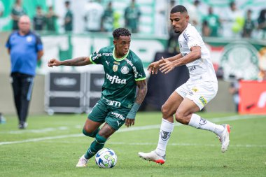 Barueri (SP), 10 / 08 / 2023 - Barueri-SP 'de BRAZILEIRO-PALMEIRAS maçı, bu Pazar, 8 Ekim 2023. 