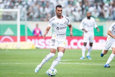 Barueri (SP), 10 / 08 / 2023 - Barueri-SP 'de BRAZILEIRO-PALMEIRAS maçı, bu Pazar, 8 Ekim 2023. 