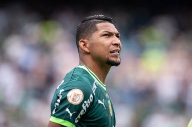 Barueri (SP), 10 / 08 / 2023 - Barueri-SP 'de BRAZILEIRO-PALMEIRAS maçı, bu Pazar, 8 Ekim 2023. 
