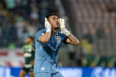 Barueri (SP), 10 / 08 / 2023 - Barueri-SP 'de BRAZILEIRO-PALMEIRAS maçı, bu Pazar, 8 Ekim 2023. 