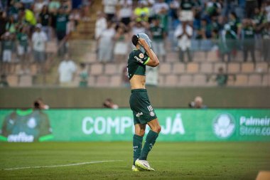 Barueri (SP), 10 / 08 / 2023 - Barueri-SP 'de BRAZILEIRO-PALMEIRAS maçı, bu Pazar, 8 Ekim 2023. 