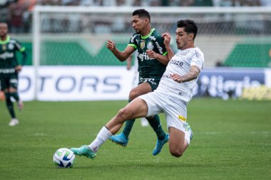 Barueri (SP), 10 / 08 / 2023 - Barueri-SP 'de BRAZILEIRO-PALMEIRAS maçı, bu Pazar, 8 Ekim 2023. 