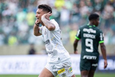 Barueri (SP), 10 / 08 / 2023 - Barueri-SP 'de BRAZILEIRO-PALMEIRAS maçı, bu Pazar, 8 Ekim 2023. 