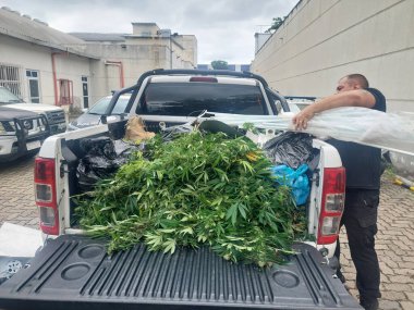 Rio de Janeiro (RJ), Brezilya 10.10.10.2023 - DRUGS / MAJUANA / RJ - Güvenlik güçleri Rio 'da uyuşturucu kaçakçılığına karşı yürütülen ortak operasyonların ikinci günü olan 10. Sabah, polis Complexo da Mare 'de devam etti.