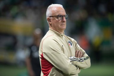 Sao Paulo, Brezilya - 25 Ekim 2023: Sao Paulo 'lu BRASILEIRO ile PALMEIRAS arasındaki futbol maçı, bu Çarşamba