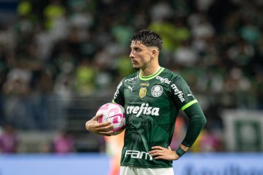 Sao Paulo, Brezilya - 25 Ekim 2023: Sao Paulo 'lu BRASILEIRO ile PALMEIRAS arasındaki futbol maçı, bu Çarşamba