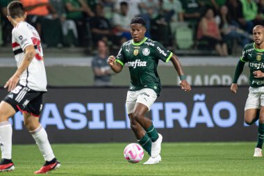 Sao Paulo, Brezilya - 25 Ekim 2023: Sao Paulo 'lu BRASILEIRO ile PALMEIRAS arasındaki futbol maçı, bu Çarşamba