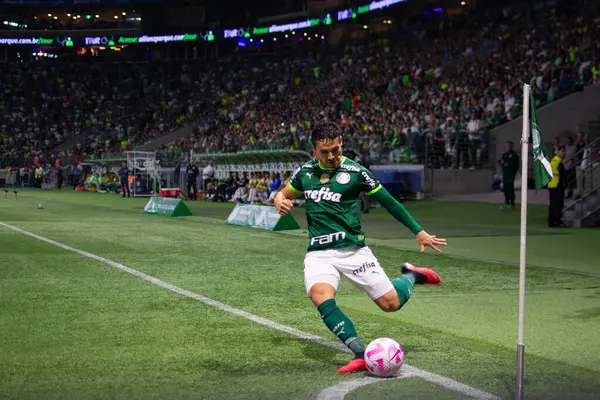 Sao Paulo, Brezilya - 25 Ekim 2023: Sao Paulo 'lu BRASILEIRO ile PALMEIRAS arasındaki futbol maçı, bu Çarşamba