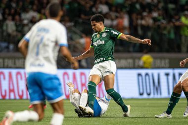 Sao Paulo (Brezilya), 10 / 30 / 2023 - BRASILEIRO vs Sao Paulo PALMEIRAS, bu Cumartesi, 30 Ekim 2023. 