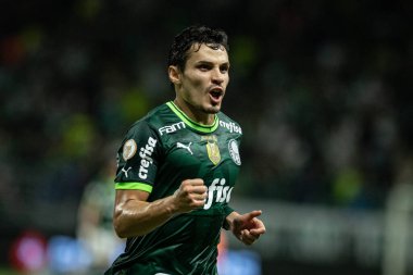 Sao Paulo (Brezilya), 10 / 30 / 2023 - BRASILEIRO vs Sao Paulo PALMEIRAS, bu Cumartesi, 30 Ekim 2023. 